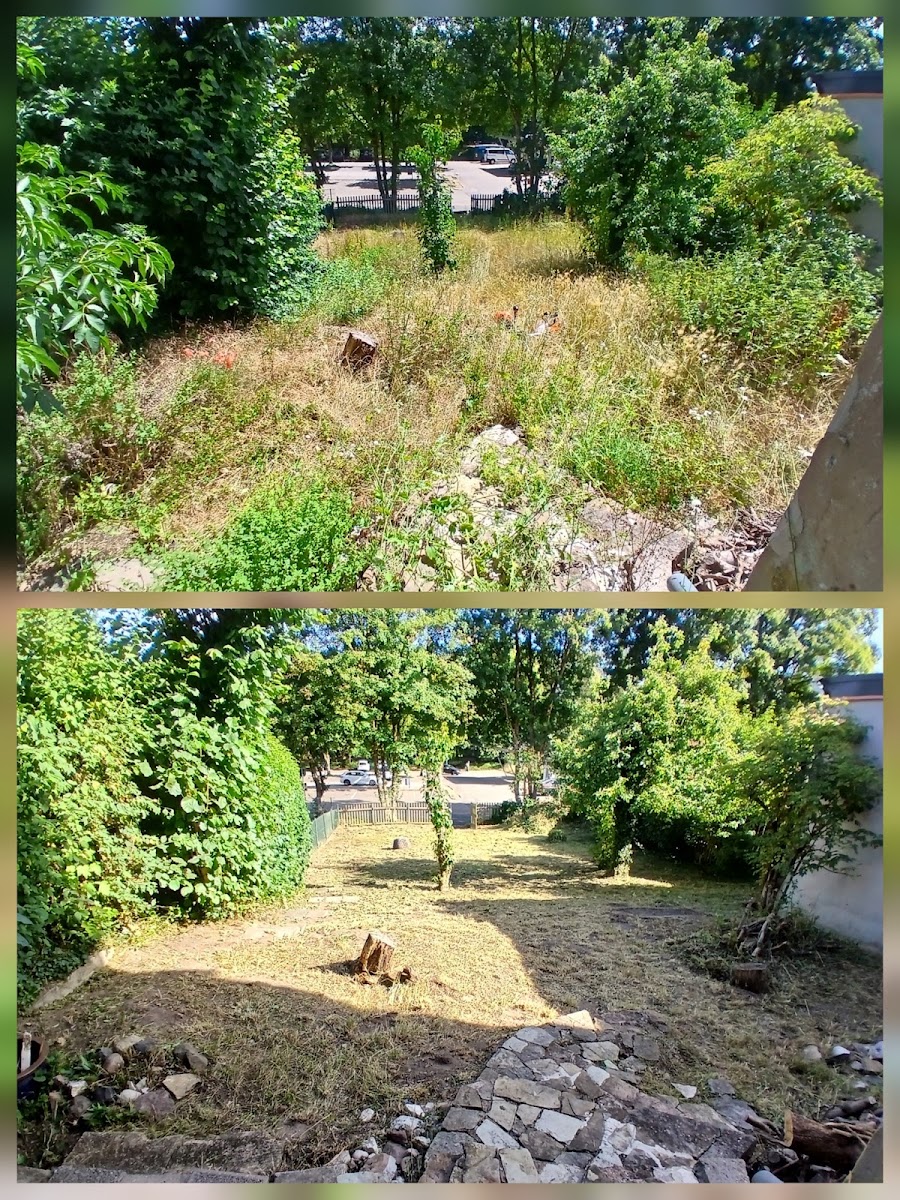 Vorher-Nachher: verwildertes Gartengrundstück wird gerodet und gemäht